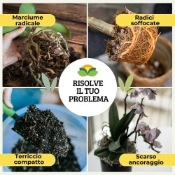 ALBAGARDEN PERLITE 2 Lt
