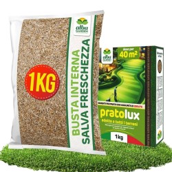 ALBAGARDEN SEME PRATO UNIVERSALE 1 Kg - PRATOLUX