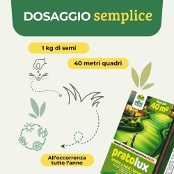 ALBAGARDEN SEME PRATO UNIVERSALE 1 Kg - PRATOLUX
