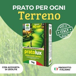 ALBAGARDEN SEME PRATO UNIVERSALE 1 Kg - PRATOLUX