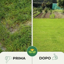 ALBAGARDEN SEME PRATO UNIVERSALE 1 Kg - PRATOLUX