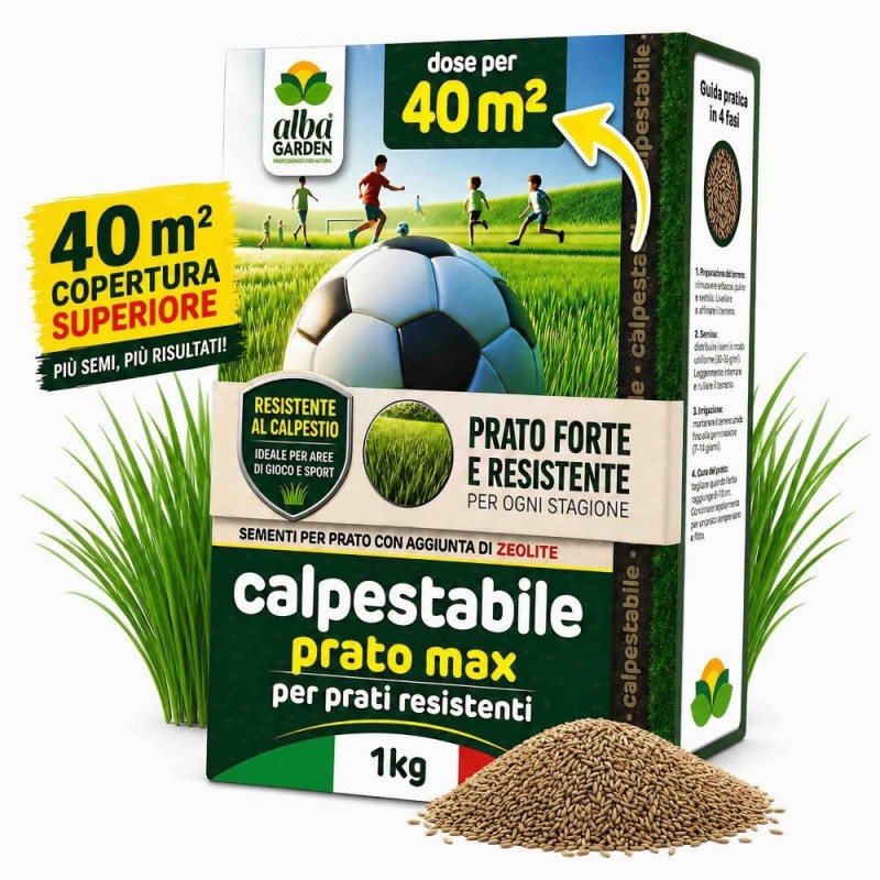 ALBAGARDEN SEME PRATO CALPESTABILE 1 Kg - PRATOMAX