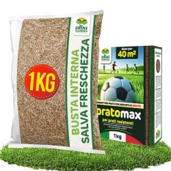ALBAGARDEN SEME PRATO CALPESTABILE 1 Kg - PRATOMAX