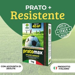 ALBAGARDEN SEME PRATO CALPESTABILE 1 Kg - PRATOMAX