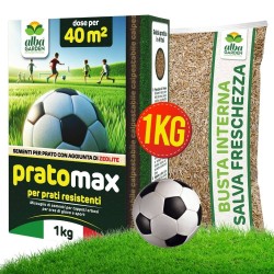ALBAGARDEN SEME PRATO CALPESTABILE 1 Kg - PRATOMAX