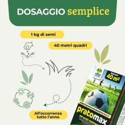 ALBAGARDEN SEME PRATO CALPESTABILE 1 Kg - PRATOMAX