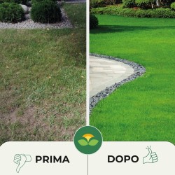 ALBAGARDEN SEME PRATO CALPESTABILE 1 Kg - PRATOMAX