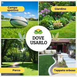 ALBAGARDEN SEME PRATO CALPESTABILE 1 Kg - PRATOMAX
