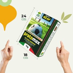 ALBAGARDEN SEME PRATO CALPESTABILE 1 Kg - PRATOMAX