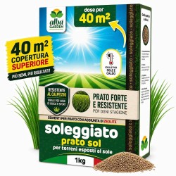 ALBAGARDEN SEME PRATO SOLEGGIATO 1 Kg - PRATOSOL