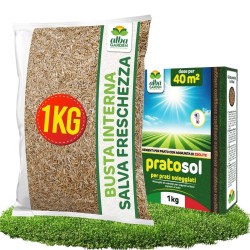 ALBAGARDEN SEME PRATO SOLEGGIATO 1 Kg - PRATOSOL
