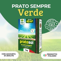 ALBAGARDEN SEME PRATO SOLEGGIATO 1 Kg - PRATOSOL