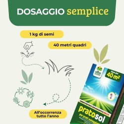 ALBAGARDEN SEME PRATO SOLEGGIATO 1 Kg - PRATOSOL