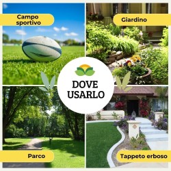 ALBAGARDEN SEME PRATO SOLEGGIATO 1 Kg - PRATOSOL