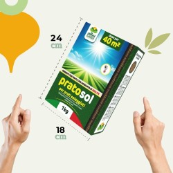 ALBAGARDEN SEME PRATO SOLEGGIATO 1 Kg - PRATOSOL
