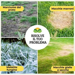 ALBAGARDEN SEMPRE VERDE 500 ml