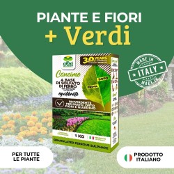 ALBAGARDEN CONCIME SOLFATO DI FERRO GRANULARE 1 Kg