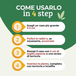 ALBAGARDEN TERRICCIO PER ORCHIDEE 2 Lt