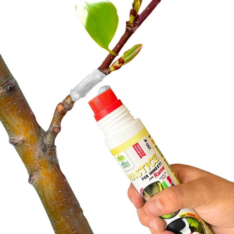 ALBAGARDEN MASTICE PER INNESTI CON RAME 250 g + PENNELLO