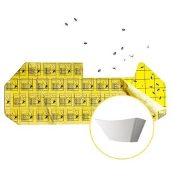CARTONE COLLANTE LAMPADA HACCP LUX 6 pz COD. 3250039
