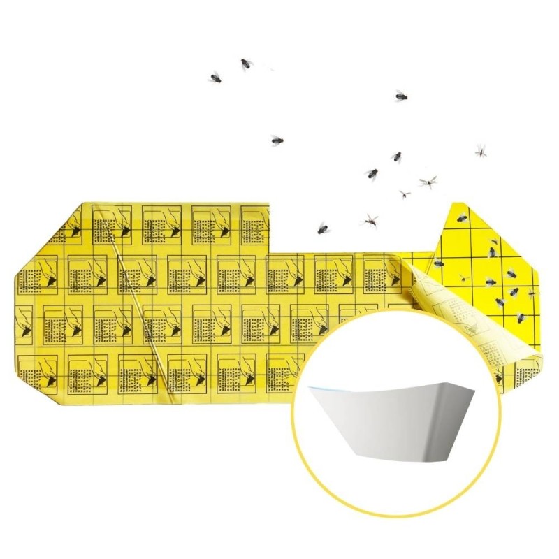 CARTONE COLLANTE LAMPADA HACCP LUX 6 pz COD. 3250039