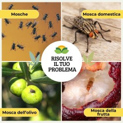 ALBAGARDEN MOSCAFU ATTRATTIVO MOSCHE 100 g (2 x 50 g)