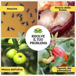 ALBAGARDEN PORTA FEROMONI 10 pz