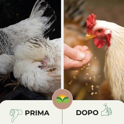 ALBAGARDEN PULPIZEK ALLEVAMENTI POLVERE 1 Kg (BUSTA)