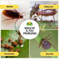 ALBAGARDEN PULPIZEK EDIFICI CIVILI POLVERE 1 Kg (BARATTOLO)