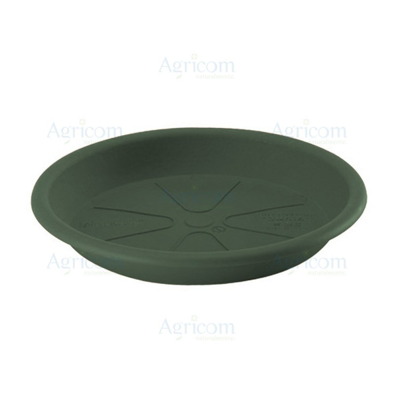 SOTTOVASO OMNIA CM 22 VERDE