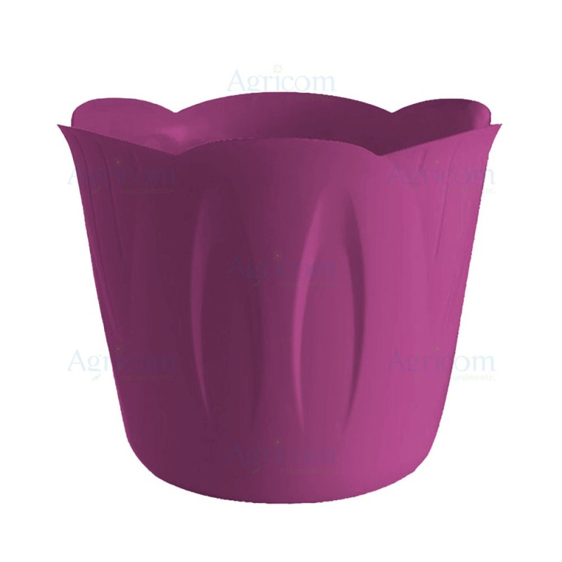 PORTAVASO MIMOSA CM 35 FUCSIA