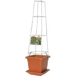 RETE NAZCA CM 27 VERDE